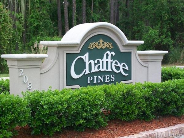 Photo of Chaffee Pines, Jacksonville FL