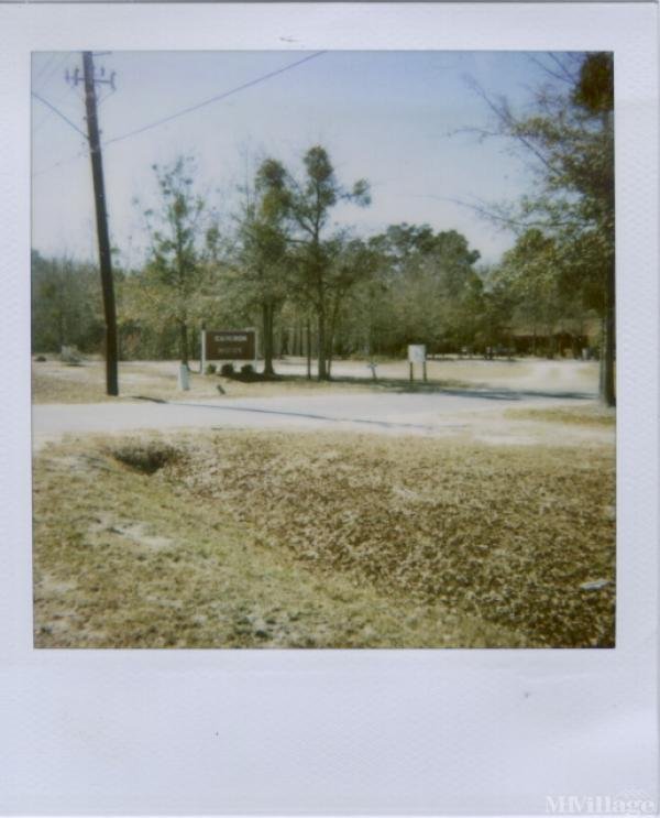 Photo 1 of 2 of park located at 2695 Shaw Road Allenhurst, GA 31301
