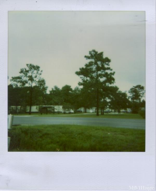 Photo 0 of 2 of park located at 152 Scrubby Bluff Road Kingsland, GA 31548
