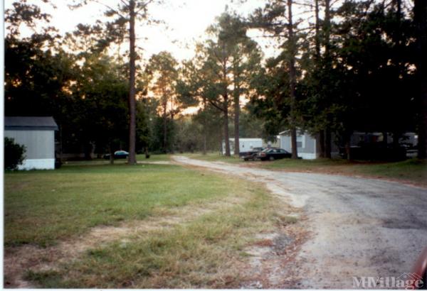 Photo 1 of 1 of park located at 211 Lanier Drive Statesboro, GA 30458