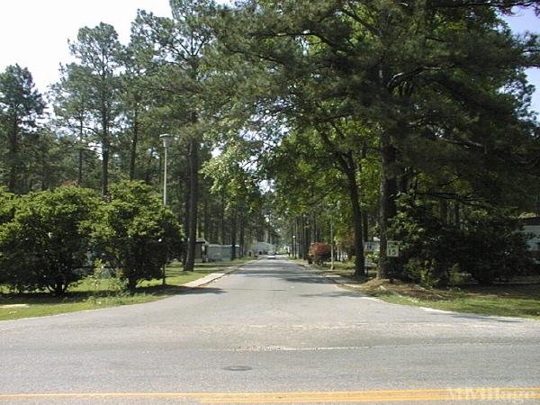 Photo of Big Pine Estates, Albany GA
