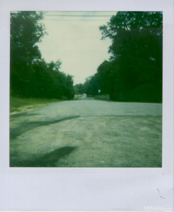 Photo 1 of 2 of park located at 115 Pamela Way Statesboro, GA 30461