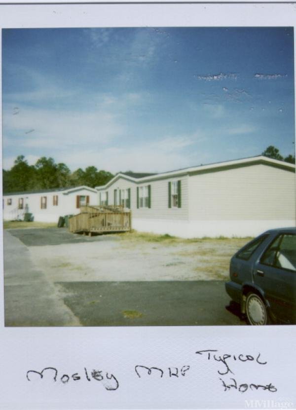Photo of Mosely Mobile Home Park, Hinesville GA