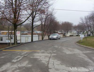 Photo 5 of 14 of park