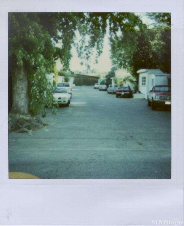 Photo of Sage Mobile Home Park, Boise ID
