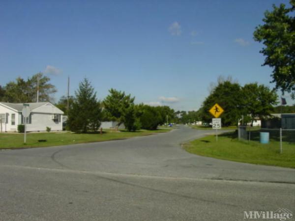 Photo 1 of 2 of park located at 224 Clogg Drive West Dagsboro, DE 19939