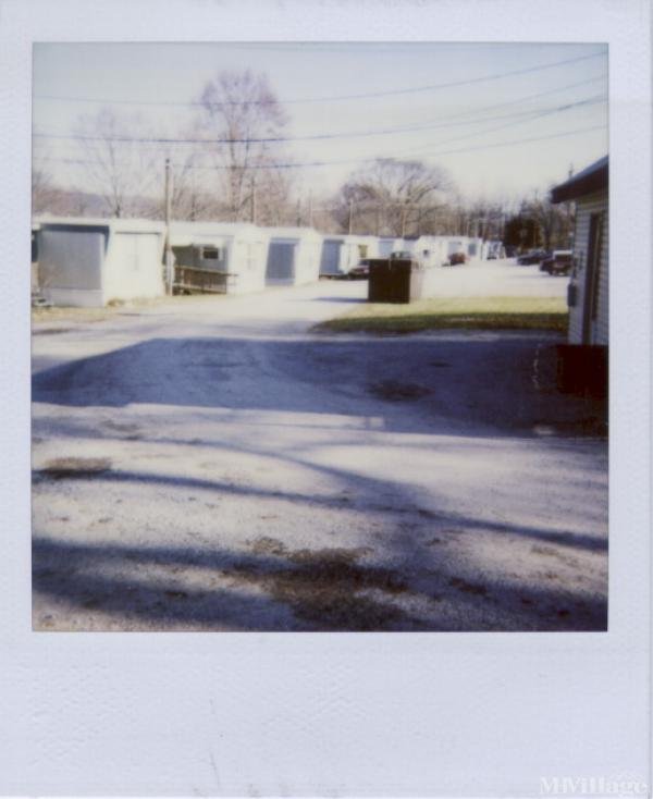 Photo of Green Valley Trailer Park, Melbourne KY