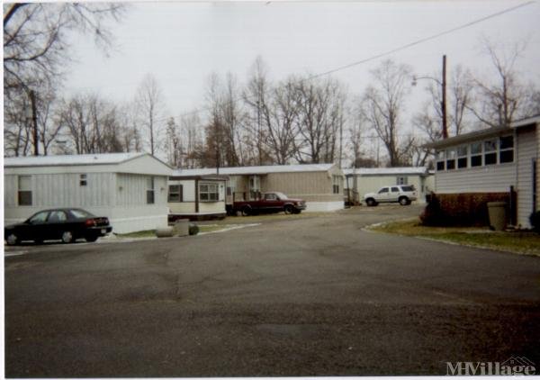Photo of Flatwoods Trailer Park, Flatwoods KY