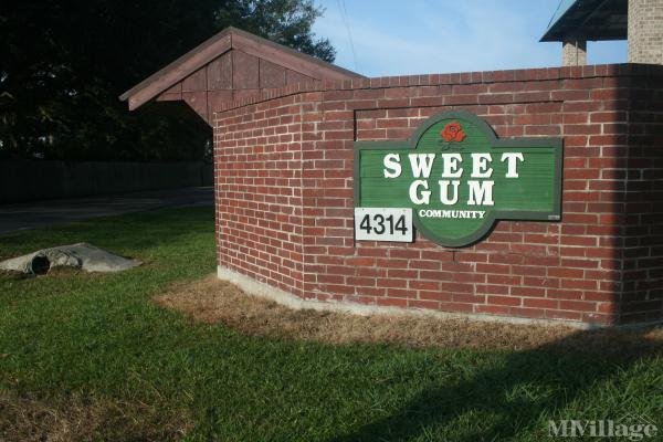 Photo of Sweet Gum Community, Sulphur LA