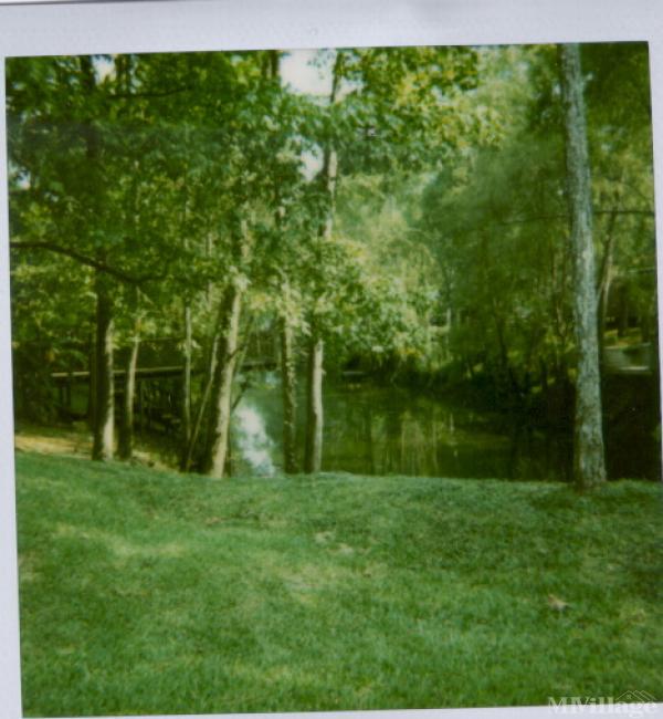 Photo 1 of 1 of park located at 1041 Jean Lafitte Breaux Bridge, LA 70517