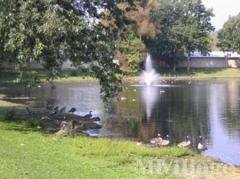 Photo 2 of 8 of park located at 5325 Van Orden Road Webberville, MI 48892