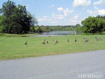 Photo 5 of 15 of park located at 53914 25th Street Mattawan, MI 49071