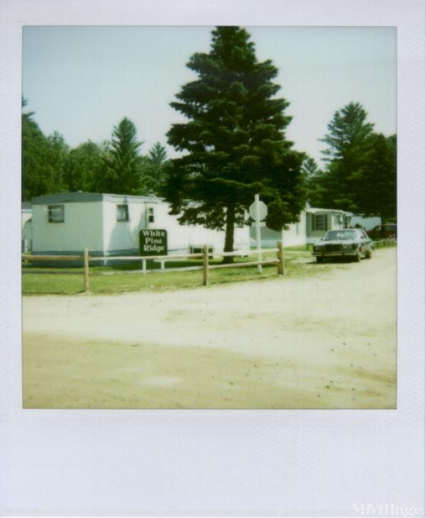 Photo of Northern Pines, Hale MI