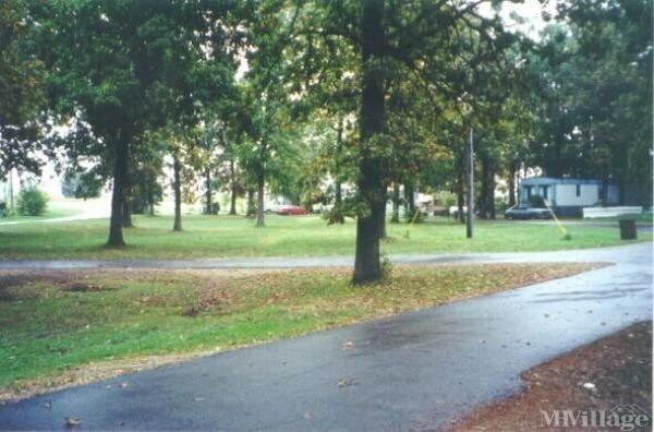 Photo 1 of 1 of park located at 17509 Highway 174 Mount Vernon, MO 65712