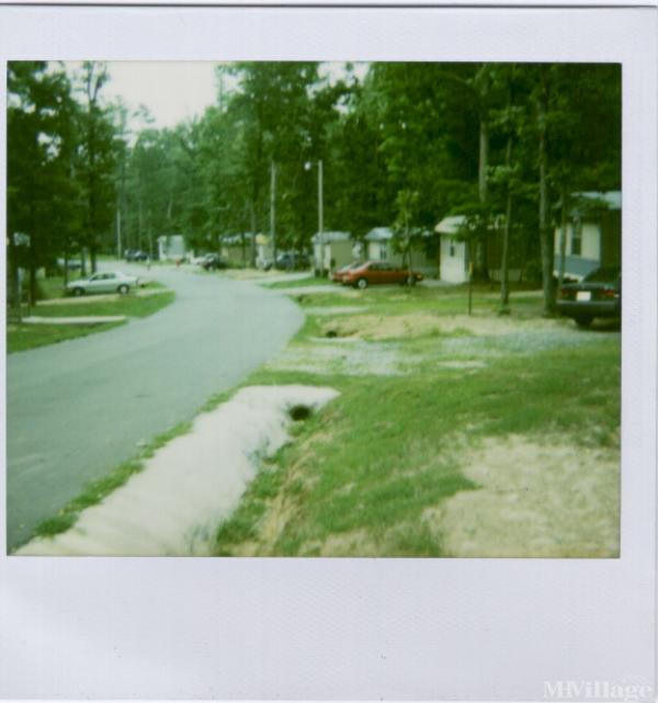 Photo 1 of 1 of park located at 3401 Alice Street Hillsborough, NC 27278