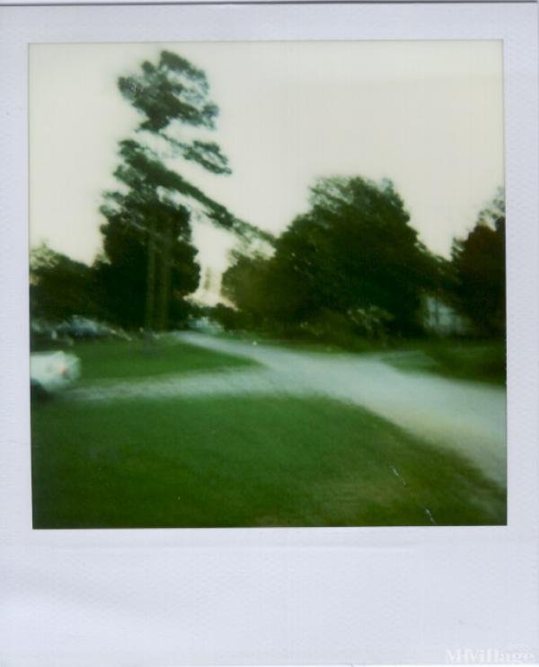 Photo of Trauquil Mobile Home Park, Mebane NC