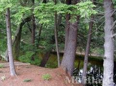Photo 4 of 11 of park located at 716 Salmon Falls Rd Rochester, NH 03868