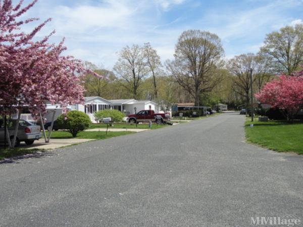 Photo 1 of 2 of park located at 768 E Garden Rd #1 Vineland, NJ 08360