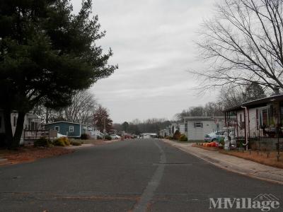 Photo 4 of 16 of park