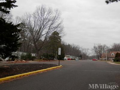 Photo 3 of 16 of park