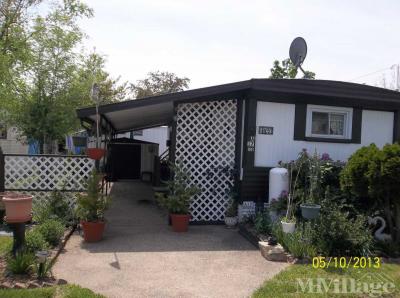 Photo 3 of 13 of park