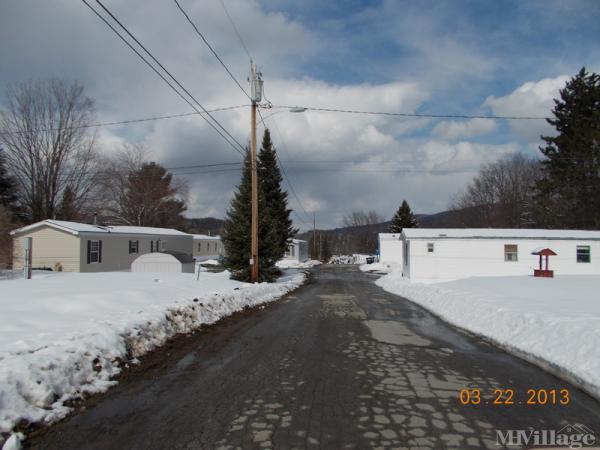 Photo 1 of 2 of park located at Vt Rt 12 N Northfield Falls, VT 05664