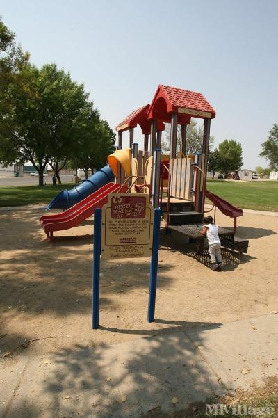 Photo 4 of 22 of park