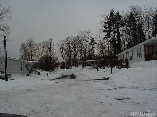 Photo of College View Trailer Park, Ithaca NY