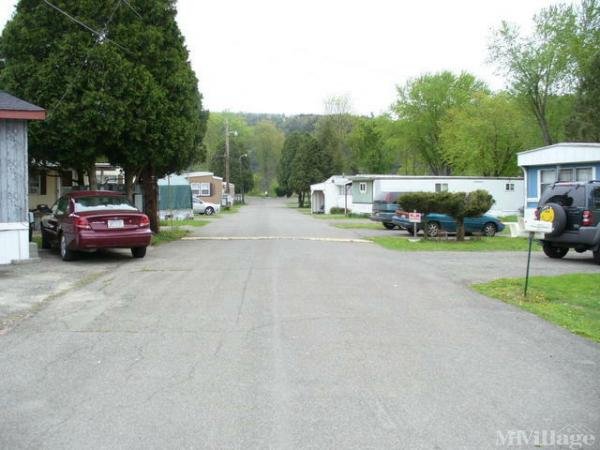 Photo of Mountain View Mobile Home Park, Owego NY