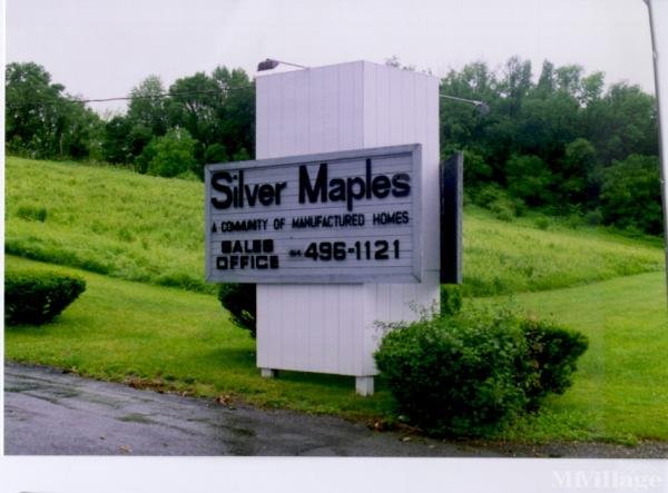 Photo of Silver Maples, Harriman NY