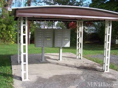 Photo 2 of 6 of park