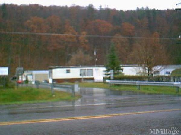 Photo of Mountain View Mobile Home Community, Port Crane NY