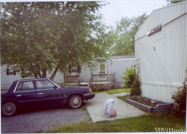 Photo of Fitch's Mobile Home Park, Bridgewater NY