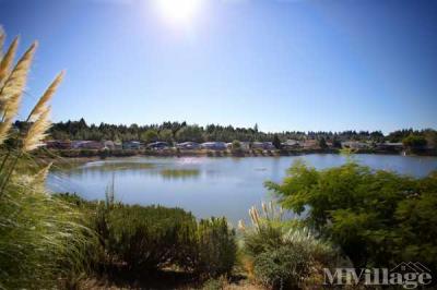 Photo 2 of 25 of park