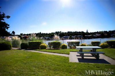 Photo 4 of 25 of park