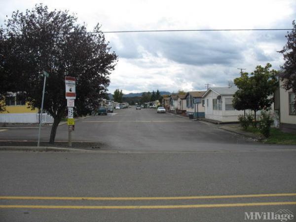 Photo 1 of 2 of park located at 25 Manor Loop Roseburg, OR 97470