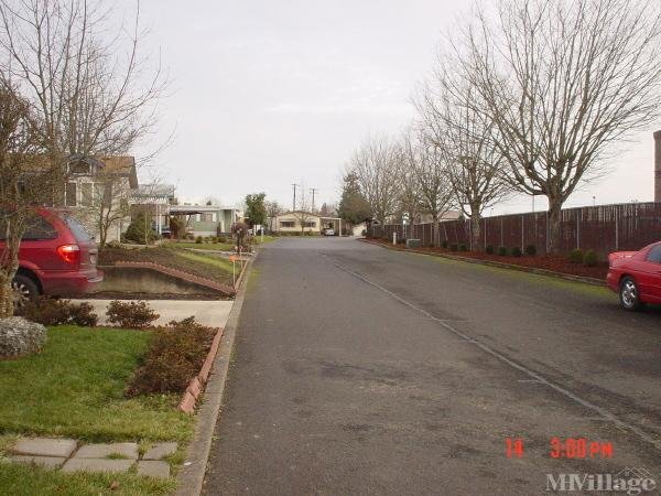 Photo of Southwest Terrace, McMinnville OR