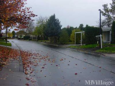 Photo 3 of 36 of park located at 2350 North Terry Street Eugene, OR 97402