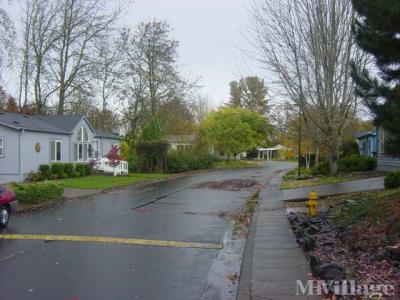 Photo 4 of 36 of park located at 2350 North Terry Street Eugene, OR 97402