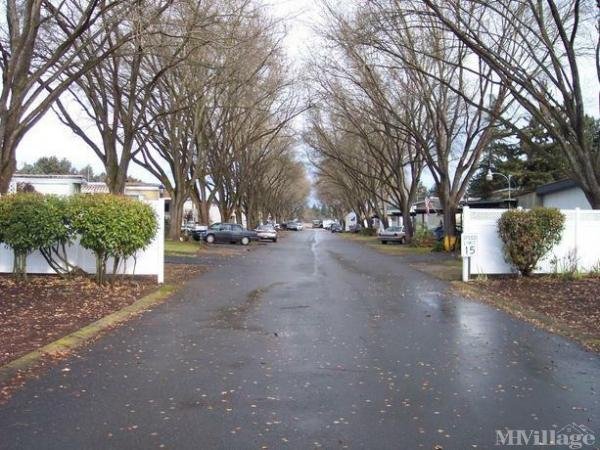 Photo of Blue Spruce Mobile Estates, Medford OR