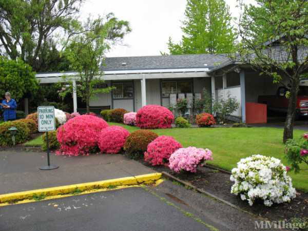 Photo of Falcon Wood Village, Eugene OR