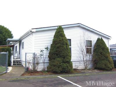 Photo 4 of 30 of park