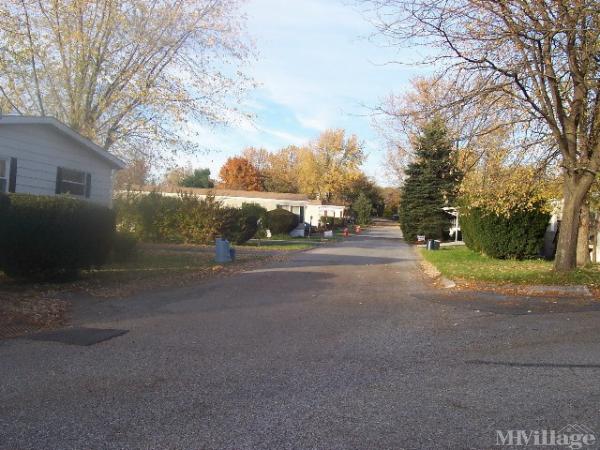 Photo 1 of 2 of park