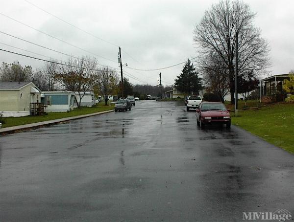 Photo 1 of 2 of park located at 1395 Bowmansville Road Mohnton, PA 19540