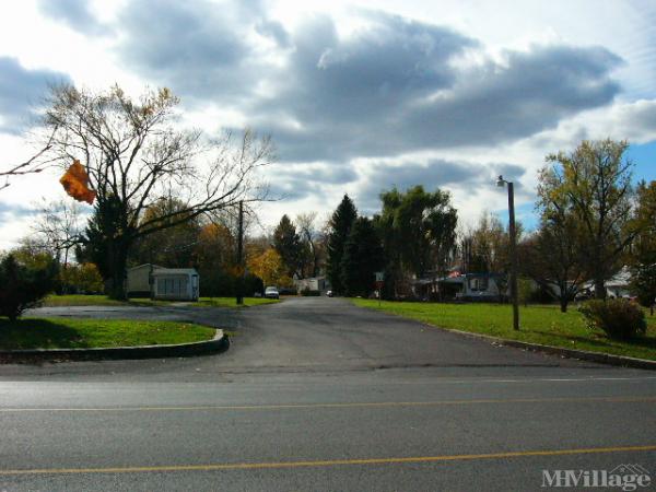 Photo 1 of 2 of park located at 165 West Ridge Pike Limerick, PA 19468