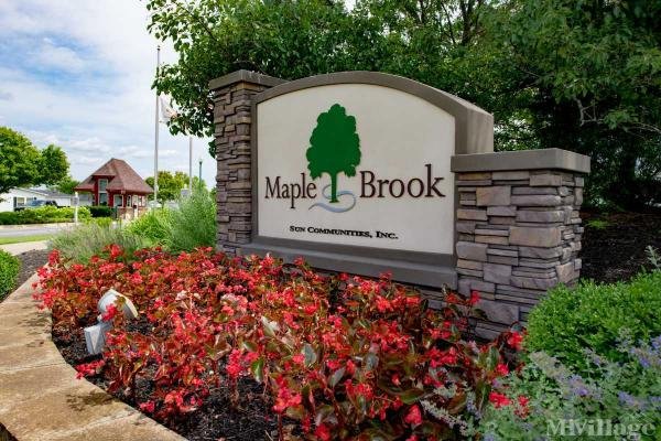 Photo of Maple Brook, Matteson IL