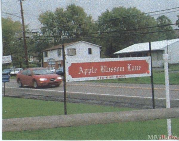 Photo of Apple Blossom, Duncansville PA