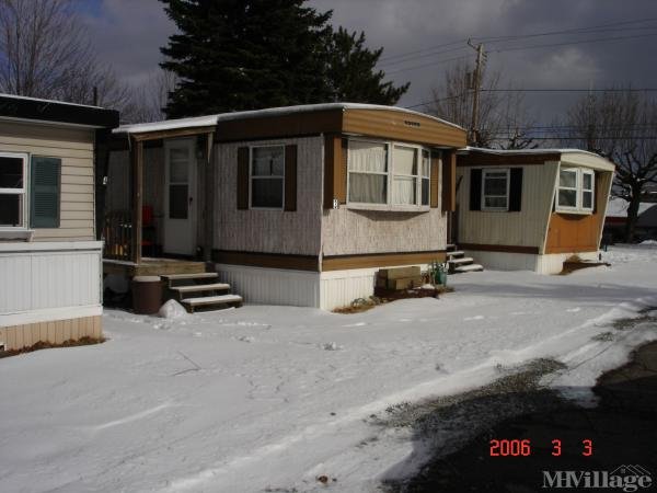 Photo of Norway Maples Mobile Home Park, Taylor PA