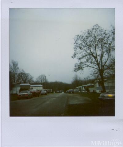 Mobile Home Park in Greenville PA
