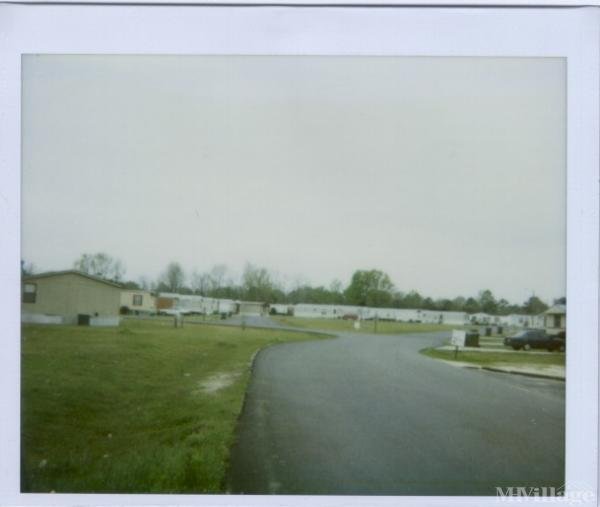 Photo of Wedgefield Mobile Home Park, Lake City SC